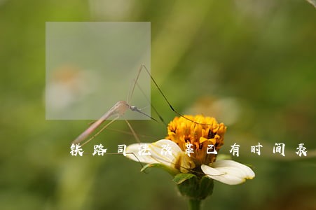 铁路司法改革已有时间表 铁路司法改革已有时间表
