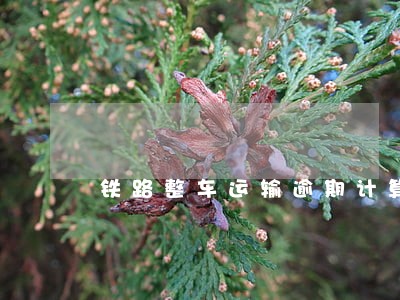 铁路整车运输逾期计算 铁路整车运输逾期计算