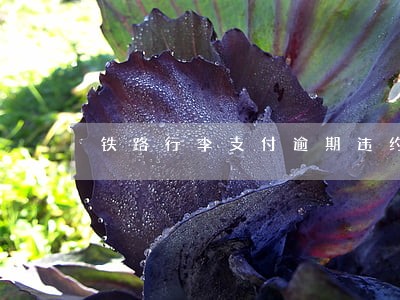 铁路行李支付逾期违约金例题 铁路行李支付逾期违约金例题