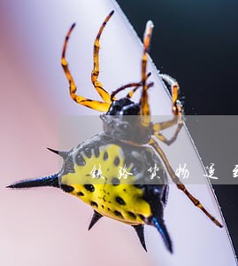 铁路货物运到期逾期违约金 铁路货物运到期逾期违约金