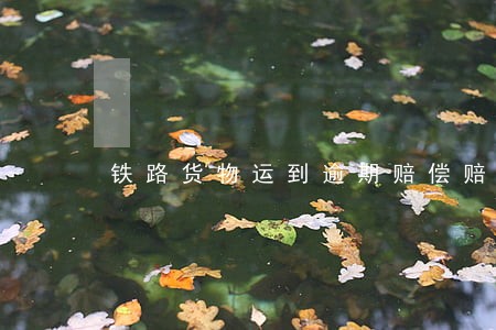 铁路货物运到逾期赔偿赔偿单 铁路货物运到逾期赔偿赔偿单