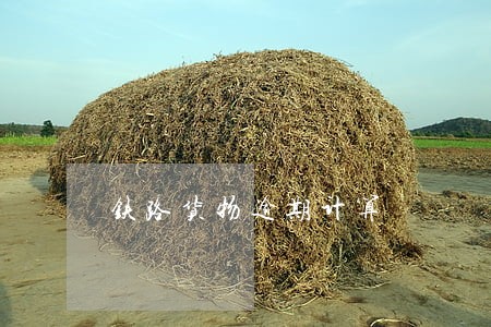 铁路货物逾期计算 铁路货物逾期计算
