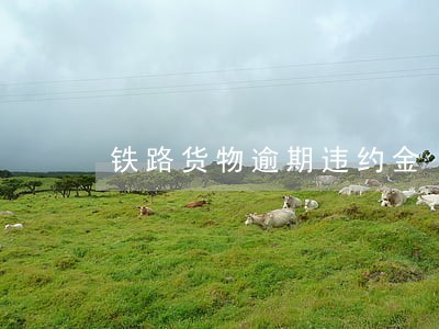 铁路货物逾期违约金 铁路货物逾期违约金