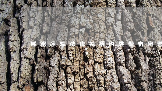 铁路运输法律关系的类型有哪些 铁路运输法律关系的类型有哪些