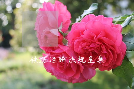 铁路运输法规是集 铁路运输法规是集