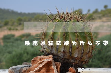 铁路运输法院为什么不带人民 铁路运输法院为什么不带人民