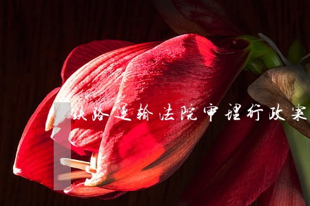 铁路运输法院审理行政案件