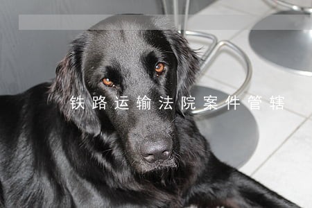 铁路运输法院案件管辖 铁路运输法院案件管辖