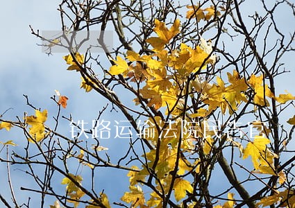 铁路运输法院民告官 铁路运输法院民告官
