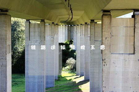 铁路运输法院王雷