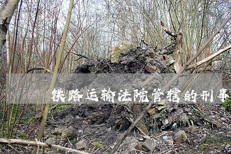 铁路运输法院管辖的刑事案件 铁路运输法院管辖的刑事案件