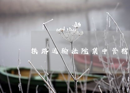 铁路运输法院集中管辖