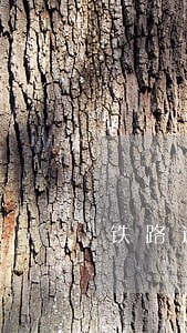 铁路运输运输逾期案例 铁路运输运输逾期案例