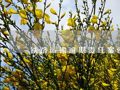 铁路运输逾期责任案例视频 铁路运输逾期责任案例视频