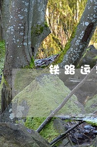 铁路运输逾期违约金计算方法 铁路运输逾期违约金计算方法