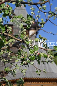 铁路运输逾期违约金费率 铁路运输逾期违约金费率