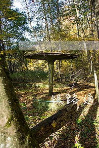 铁路通勤票工作票逾期 铁路通勤票工作票逾期