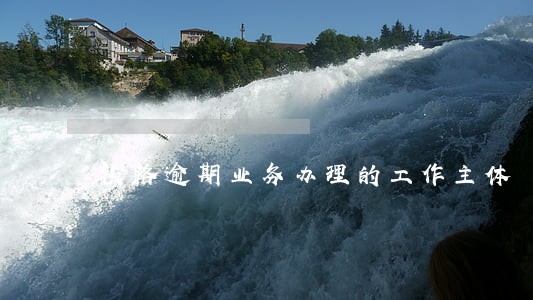 铁路逾期业务办理的工作主体 铁路逾期业务办理的工作主体