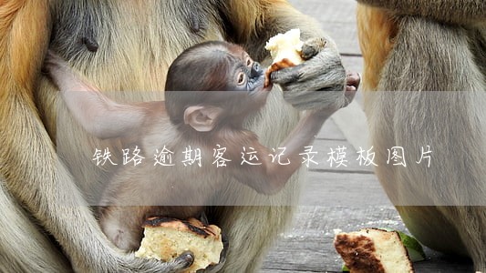 铁路逾期客运记录模板图片 铁路逾期客运记录模板图片