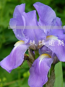 铁路逾期违约金计算 铁路逾期违约金计算