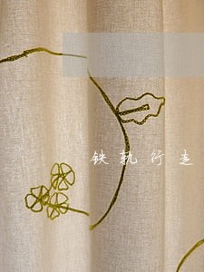 铁轨行走系违法 铁轨行走系违法