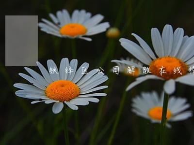 铁锋区公司解散在线律师 铁锋区公司解散在线律师