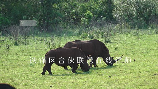 铁锋区合伙联营在线律师 铁锋区合伙联营在线律师