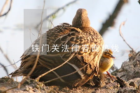 铁门关法律咨询热线 铁门关法律咨询热线
