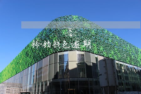 铃铛钱包逾期