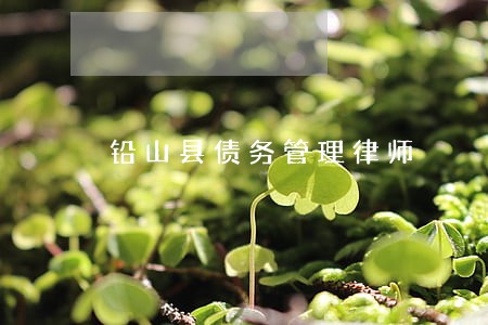 铅山县债务管理律师 铅山县债务管理律师