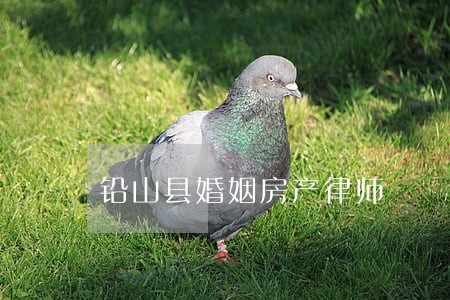 铅山县婚姻房产律师