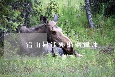 铅山县涉外婚姻律师