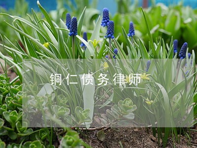 铜仁债务律师 铜仁债务律师