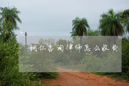 铜仁咨询律师怎么收费 铜仁咨询律师怎么收费