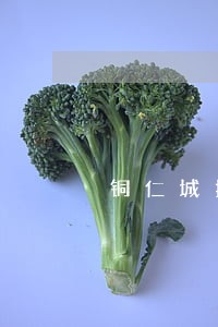 铜仁城投公司逾期 铜仁城投公司逾期