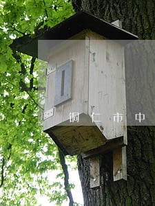 铜仁市中级人民法院执行局长