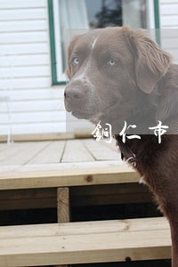 铜仁市松桃县债务逾期处理 铜仁市松桃县债务逾期处理