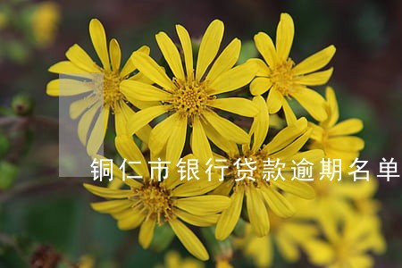 铜仁市银行贷款逾期名单 铜仁市银行贷款逾期名单