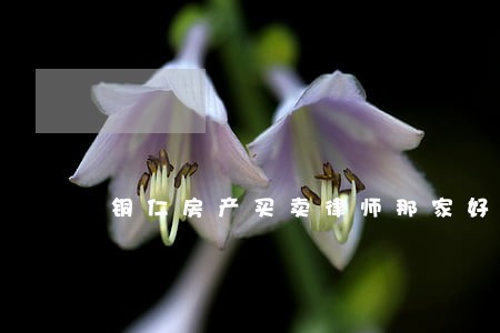 铜仁房产买卖律师那家好 铜仁房产买卖律师那家好