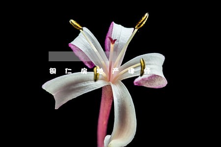铜仁房地产律师 铜仁房地产律师