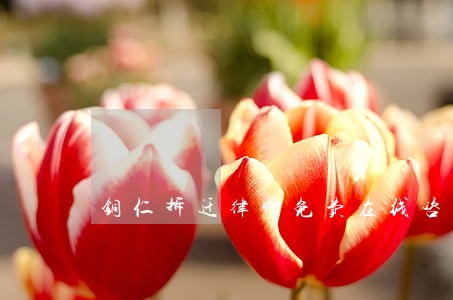 铜仁拆迁律师免费在线咨询 铜仁拆迁律师免费在线咨询