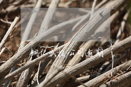 铜仁武投公司逾期 铜仁武投公司逾期