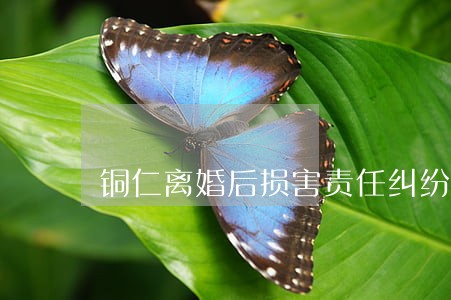 铜仁离婚后损害责任纠纷律师咨询 铜仁离婚后损害责任纠纷律师咨询