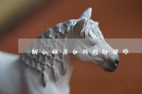 铜仁租房合同纠纷律师 铜仁租房合同纠纷律师