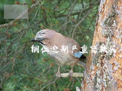 铜仁逾期严重贷款买车 铜仁逾期严重贷款买车