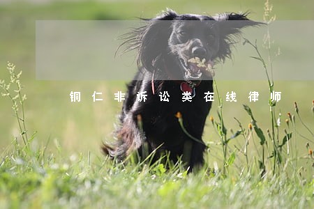 铜仁非诉讼类在线律师 铜仁非诉讼类在线律师