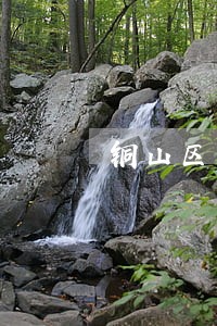 铜山区名律师推荐 铜山区名律师推荐