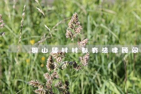 铜山镇村村都有法律顾问 铜山镇村村都有法律顾问