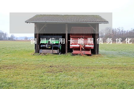 铜川信用卡逾期债务优化怎么收费 铜川信用卡逾期债务优化怎么收费