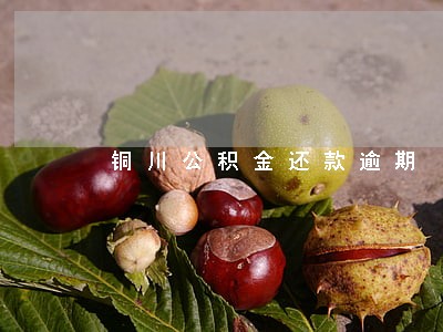 铜川公积金还款逾期 铜川公积金还款逾期
